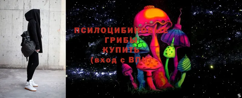 Псилоцибиновые грибы Magic Shrooms  Аркадак 